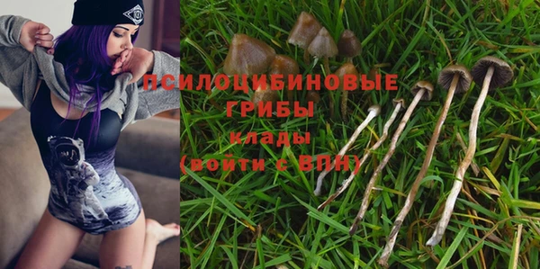 дмт Новодвинск