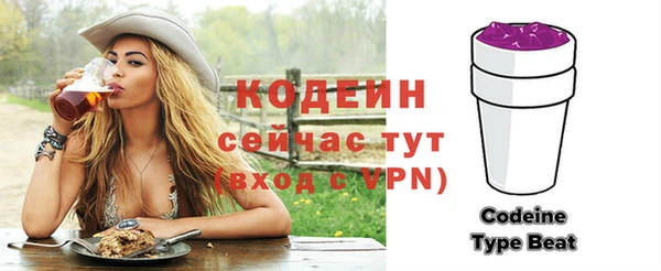 дмт Новодвинск