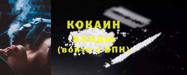 дмт Новодвинск