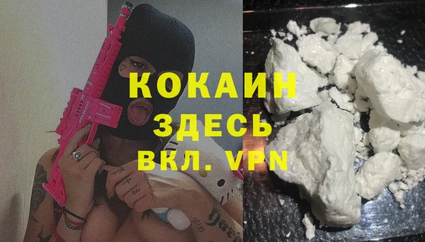 дмт Новодвинск