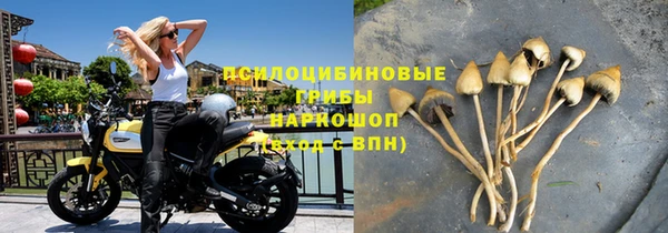 дмт Новодвинск