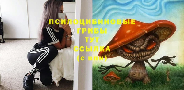 крисы Нязепетровск