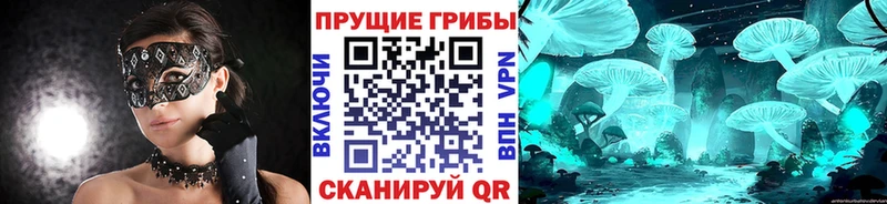 Псилоцибиновые грибы Cubensis  Зея 